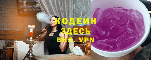 прущие грибы Алзамай