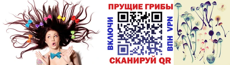 площадка Telegram  Магнитогорск  Псилоцибиновые грибы GOLDEN TEACHER 